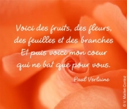 Carte de voeux : Voici mon cur...