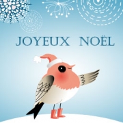 Carte de voeux : L'oiseau de Noël