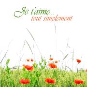 Carte de voeux : Tout simplement