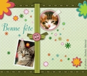 Carte de voeux : Fleurs et chats
