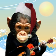 Carte de voeux : Singeries de Noël