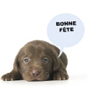 Carte de voeux : Adorable Bonne Fête