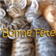 Carte de voeux : Bonne Fête tendresse