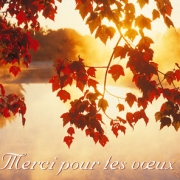 Carte de voeux : Merci en paysages