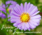 Carte de voeux : Couleur pourpre