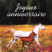 Carte de voeux : Au galop