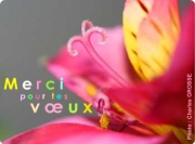Carte de voeux : Des fleurs en remerciements