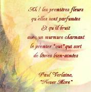 Carte de voeux : &quot;Nerver more&quot;, P. Verlaine