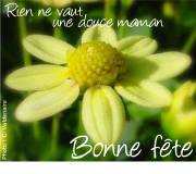 Carte de voeux : Une douce maman
