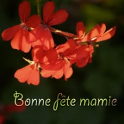 Carte de voeux : Mamie bonheur
