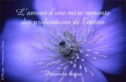 Carte de voeux : L'amour d'une mère
