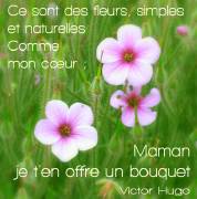 Carte de voeux : Comme mon cur (V. Hugo)
