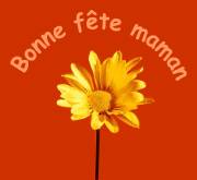 Carte de voeux : Maman douceur...