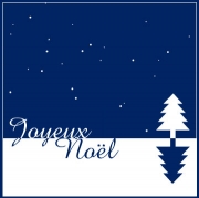 Carte de voeux : Joyeux No&euml;l