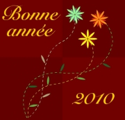 Carte de voeux : Des fleurs pour la nouvelle ann&eacute;e