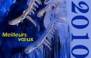 Carte de voeux : meilleurs v�ux