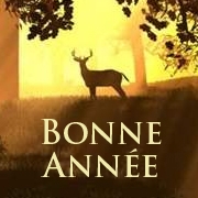 Carte de voeux : Une année commence