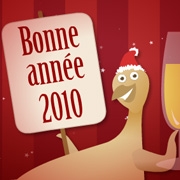 Carte de voeux : Une année vraiment dinde !