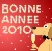 Carte de voeux : Cette année, je recycle !