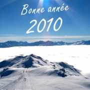 Carte de voeux : Pensées pour 2010