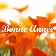 Carte de voeux : Une année va éclore