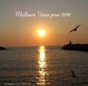 Carte de voeux : Meilleurs voeux pour 2010 !