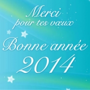 Carte de voeux : Bonne ann&eacute;e &eacute;toil&eacute;e 