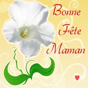 Carte de voeux : Bonne Fête Maman