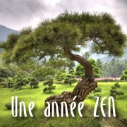 Carte de voeux : Une année ZEN