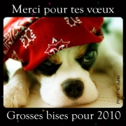 Carte de voeux : Merci et grosses bises