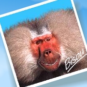 Carte de voeux : Je serai intraitable...