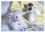 Carte de voeux : Chaussons