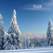 Carte de voeux : Paysages enneigés