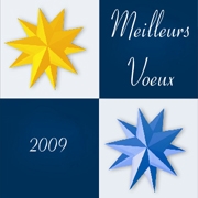 Carte de voeux : Mes meilleurs voeux