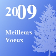 Carte de voeux : Meilleurs Voeux 2009