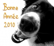 Carte de voeux : 2010 ça m'éclate