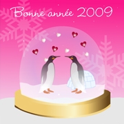 Carte de voeux : Bonne année 2009 !