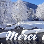 Carte de voeux : Merci pour ce Noël
