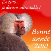 Carte de voeux : En 2010, je serai intraitable....