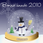 Carte de voeux : boule &agrave; neige