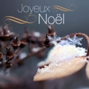 Carte de voeux : Noël sous la neige