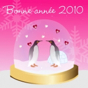 Carte de voeux : Bonne ann&eacute;e 2010 !