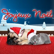Carte de voeux : Joyeux Noël du toutou et du matou
