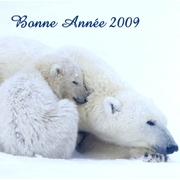 Carte de voeux : Où que tu sois...