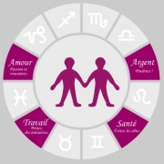 Carte de voeux : Gémeaux