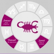 Carte de voeux : Scorpion