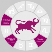 Carte de voeux : Taureau