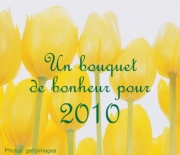 Carte de voeux : Un bouquet de bonheur