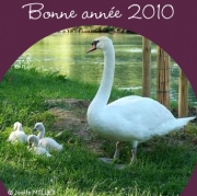 Carte de voeux : Plein d'amour pour 2010
