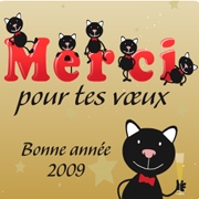 Carte de voeux : Chats alors ! Merci !